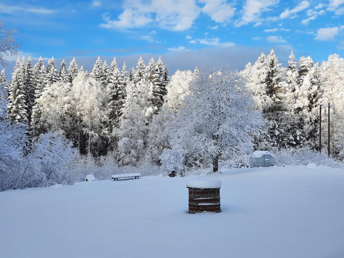 Geijersholms Herrgård Hagfors Exterior foto